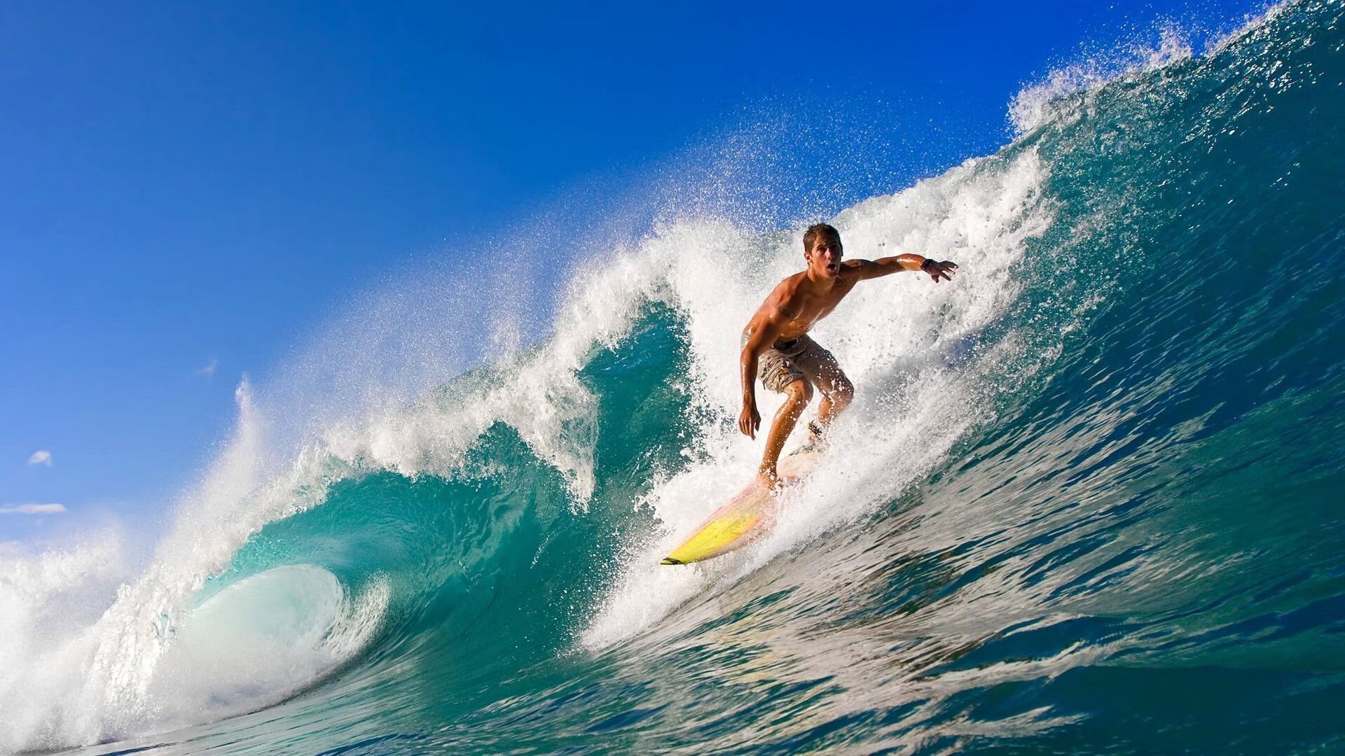 传控能力谁是组织核心中的核心，传控能力谁是组织核心中的核心力量