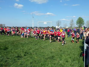 开云体育在线登入-青少年体育活动参与动机分析与提升，青少年体育活动参与动机分析与提升研究